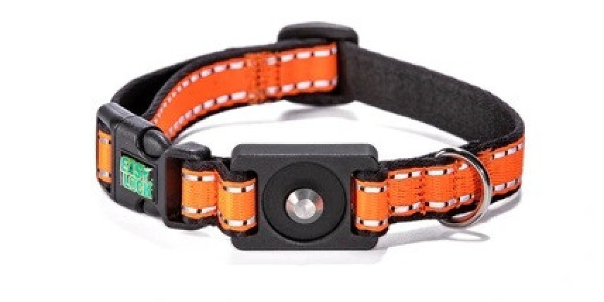 How Do You Choose an Easy On Off Dog Harness?