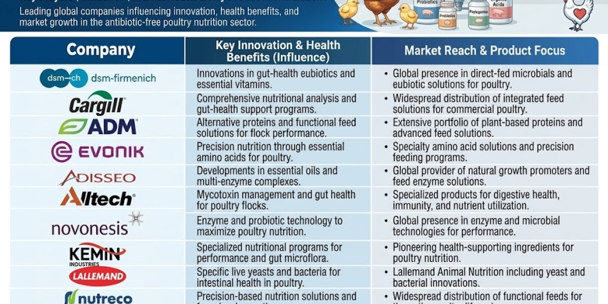 Antibiotic-Free Poultry Nutrition Market to USD 4.67 Billion by 2036