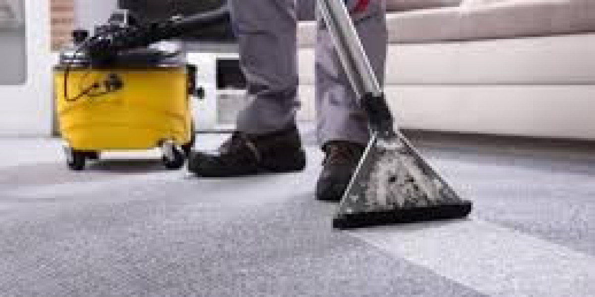 What Services Do carpet cleaning companies perth Usually Offer?