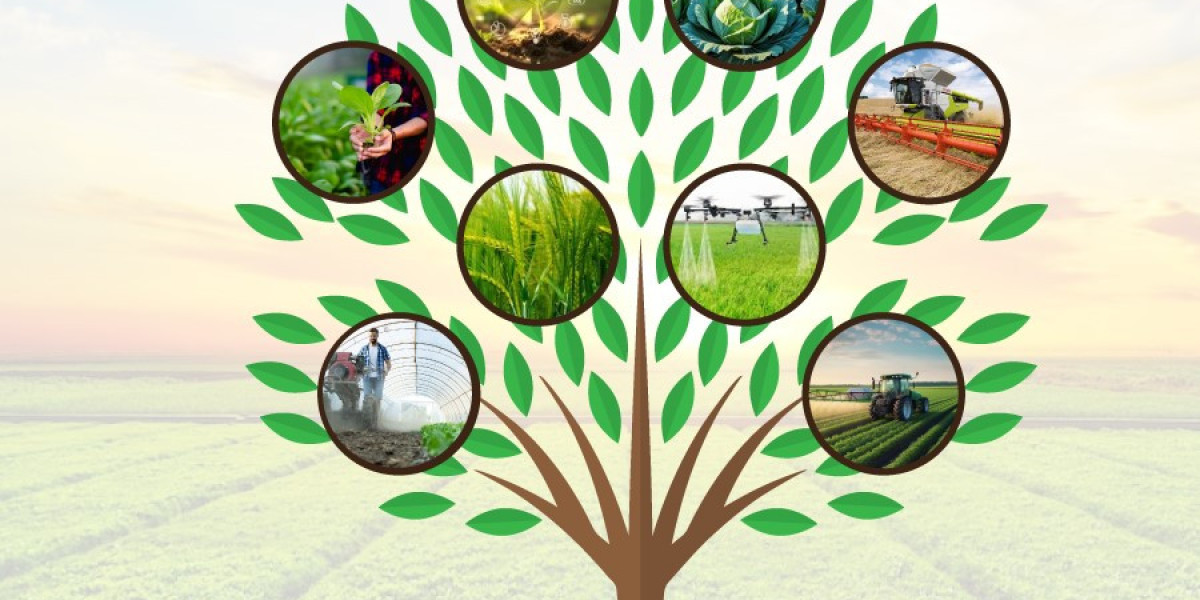 How Agrochemicals Market Innovation Is Changing Global Agriculture