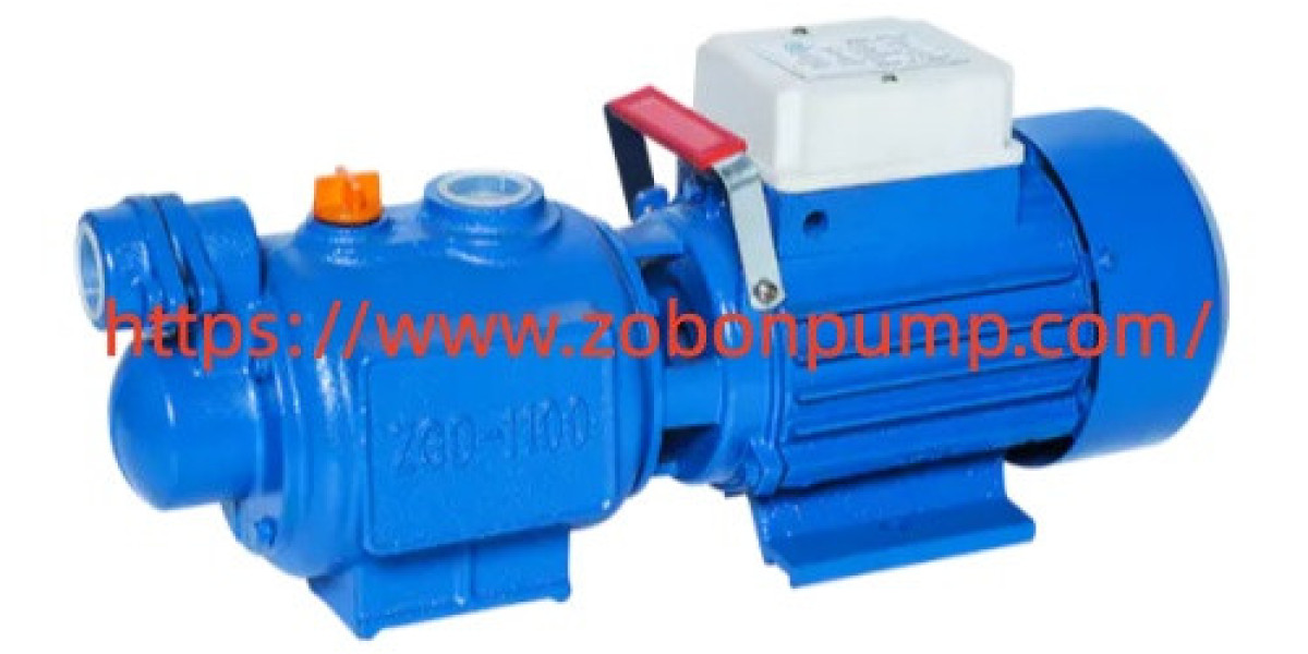 What Should You Check When Choosing Caifu Water Pumps