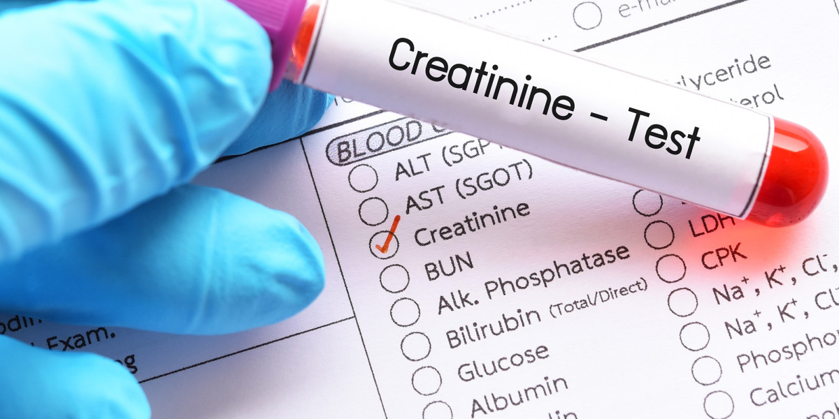 Creatinine Clearance Test and Renal Function: A Complete Overview